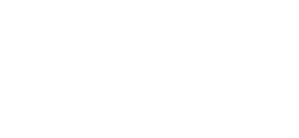Logo SFM Saniflex
